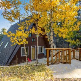 Woodland Park Scandi Cabin, Mtn Views & Hot Tub, hotel in Woodland Park