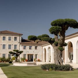 Casa de Eli - Tenuta Torre Zecchei Wine Experience