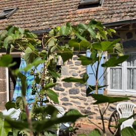 La Maison bleue, hotel in Le Monteil