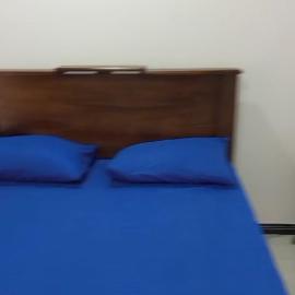 Nisansala Villa, hotel in Goiyapana
