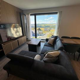 Green Deer: Abertamy şehrinde bir otel