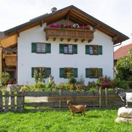 Ferienwohnung Mohnblume, hotel in Burggen