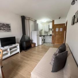 Apartamentos Turísticos Río Gállego (VUT EL CANFRANERO), hotelli kohteessa Canfranc