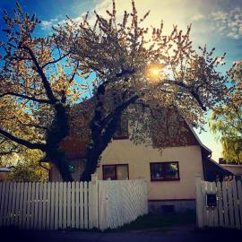Villa Betty, hotel a Visby