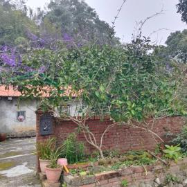 Shi Qian Zai Homestay