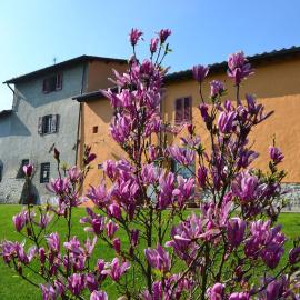 Agriturismo La Querce – hotel w mieście Rignano sullʼArno