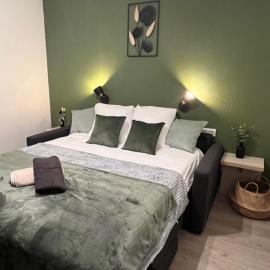 Studio Appart'Hôtel Gare TGV - 317