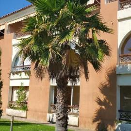 T3 climatisé pour 4 à 6 personnes proche mer en Corse