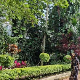 Botanic Hideaway Home, 5km from Mwanza airport