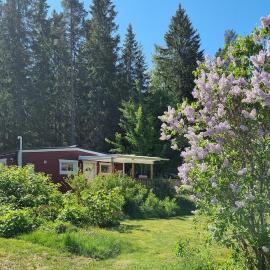 Pärlan Blåbäret, hotel en Fagersta