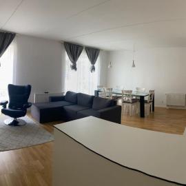 We offer for rent our wonderful apartment, hotel em Brabrand
