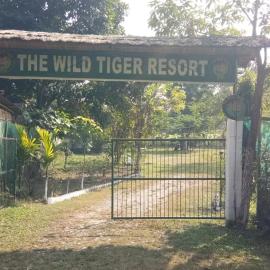 The Wild Tiger Resort, hotel sa Jyoti Gaon