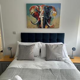 Cosy Executive City Apartment 3