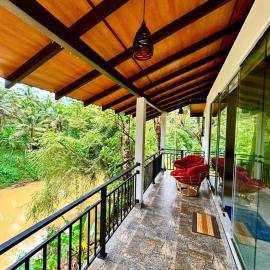 Rainforest River Bay