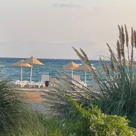 Tranquil Suites By the Sea