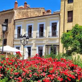 Cáceres में, होटल Apartamentos AL-QAZERES LUXURY La Concepción