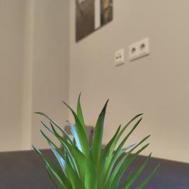 Apartment for 2 guests、ゲーストハッハトのホテル