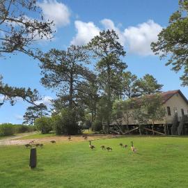 Shady Grove - Water views, Fireplace!