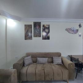New zarqa