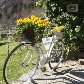 B&B L'Edera, hotel a Crodo