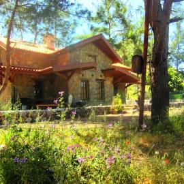 Cottage Aegean Holiday Villa
