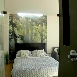 Apartmán ViVa - blízko centra - ideální pro pár