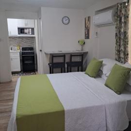 Michand Guest Apartments- Cozy one or two bedroom- 5 walk minutes from airport 10 mins drive to Oistins or beach, hotel in Christ Church