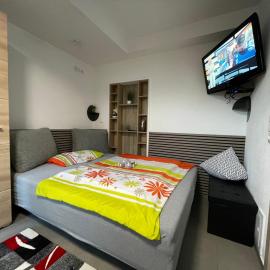 1 Zimmer Apartment in Buchenrod Flieden, hotell i Flieden