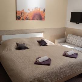 Apartmány Svítkov 79: Pardubice şehrinde bir otel