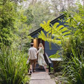 Kondalilla Eco Resort, hotel Montville-ben