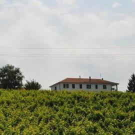 Agriturismo Ai Piacentini – hotel w mieście Santo Stefano Belbo