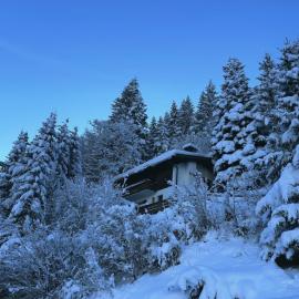 Chalet Dagmar, hotel v destinaci Klosters