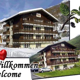 Haus Erle