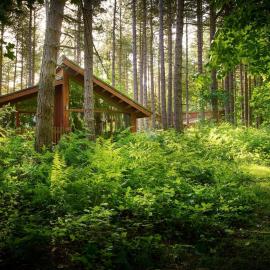 Sherwood Forest Cabins - Forest Holidays