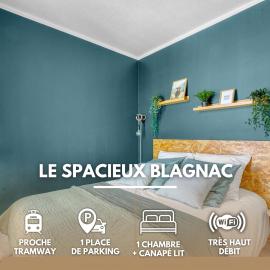 Spacious Apartment Blagnac Parking-Tram-Airport、ブラニャックのホテル