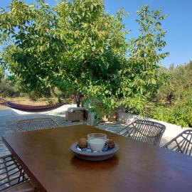 Stavros Oak Tree House