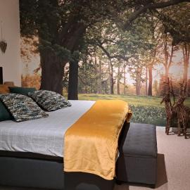 De beukenboom Bed and Breakfast, viešbutis mieste Gelenas