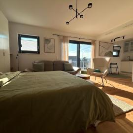 Loft Tower Sisseln