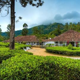 Zostel Plus Wayanad, hotel v mestu Kalpatta