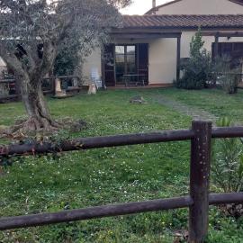 Oleandro Cottage with garden, hotel en La Cinquantina