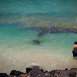 Yonegan Central Maui Getaways, מלון בWailuku