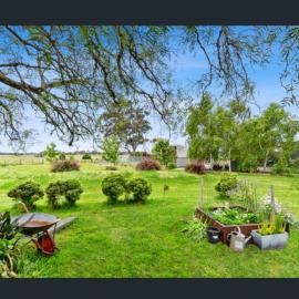SANDHU farmhouse