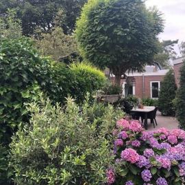 BY BABS guesthouse Bergen nh