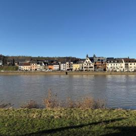 Ferienhaus-am-Moselufer