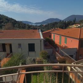 Oasi Verde 4