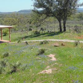 Texas T Bed and Breakfast, hotel in Llano