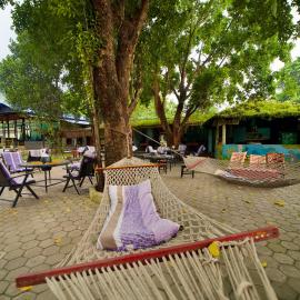 Chitwan Gaida Lodge - Animal Lovers & Birdwatchers Paradise, hotel a Sauraha