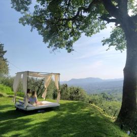 Agriturismo La Forestaria, ξενοδοχείο σε Capannori