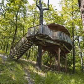 TREE HOUSE U Mravence, hotel in Jinačovice