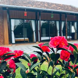 Son House, hotel in Dong Hoi